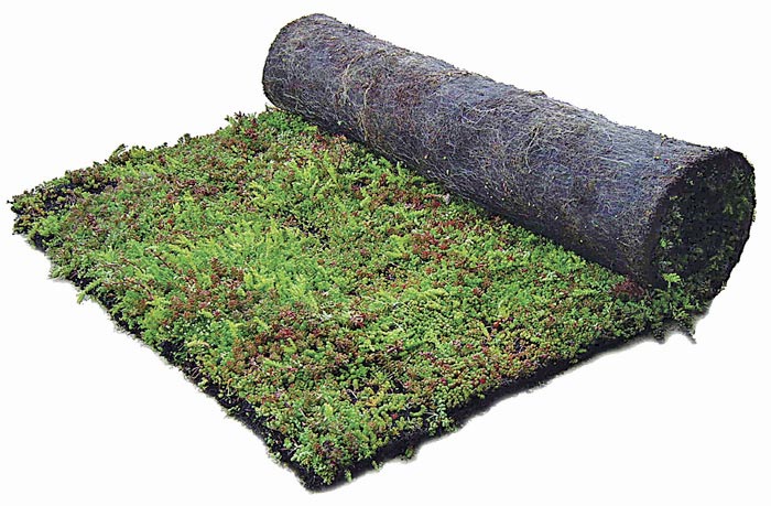 tapis-plants-in-mat (1)